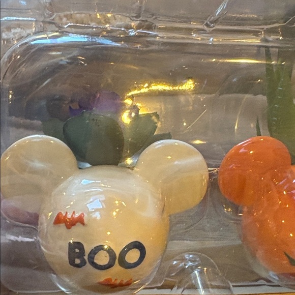 Halloween Themed Mickey Mouse succulents - Picture 2 of 5